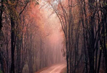 天涯社区如何变现