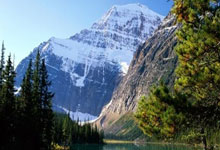 天涯社区如何变现