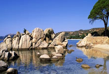 天涯社区地址一二一的秘密探寻